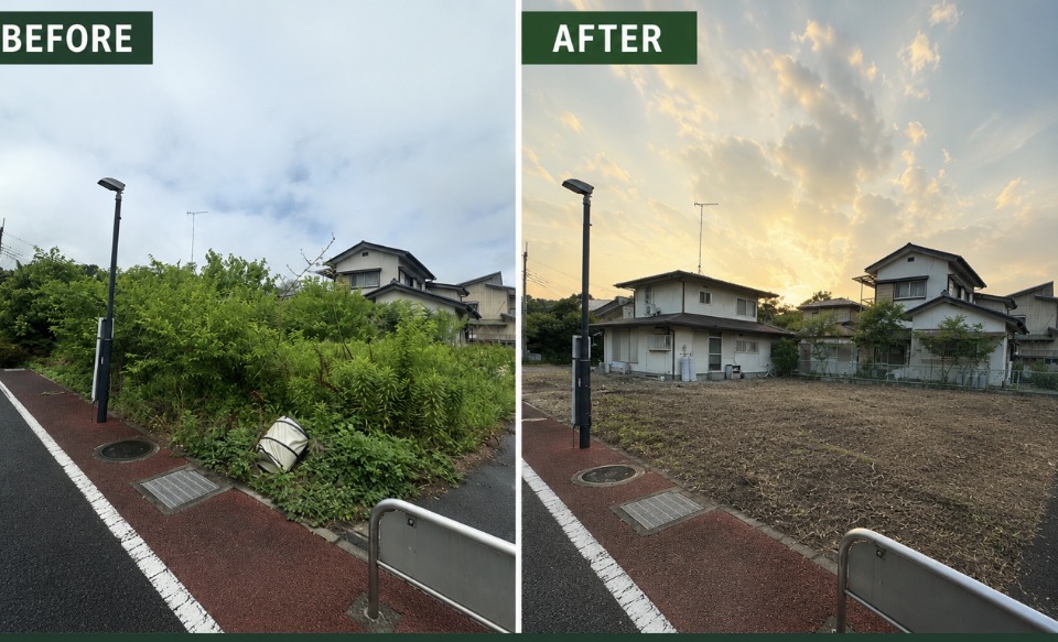 草刈り｜1平米あたり100円の画像